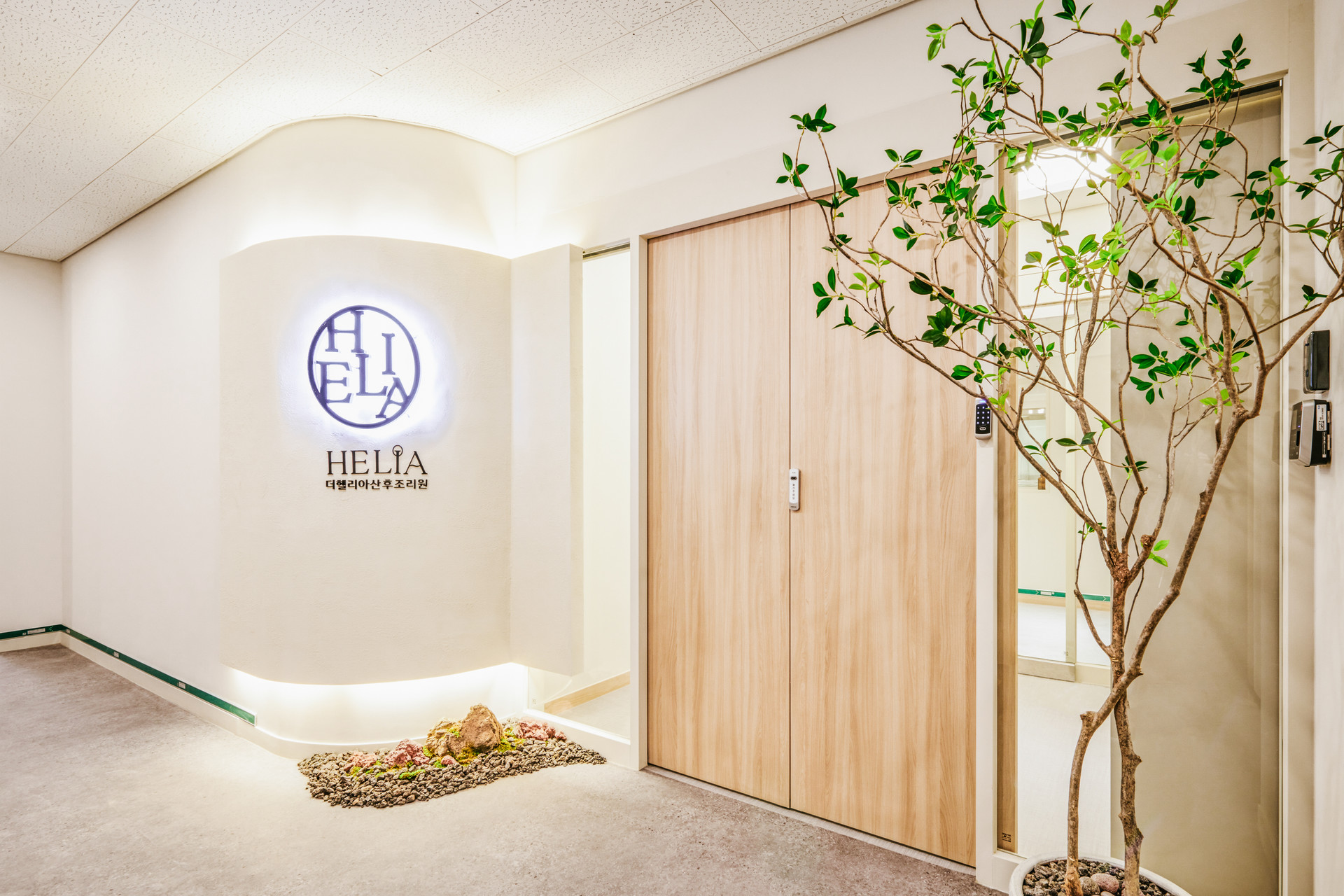 더헬리아 메인 이미지 1