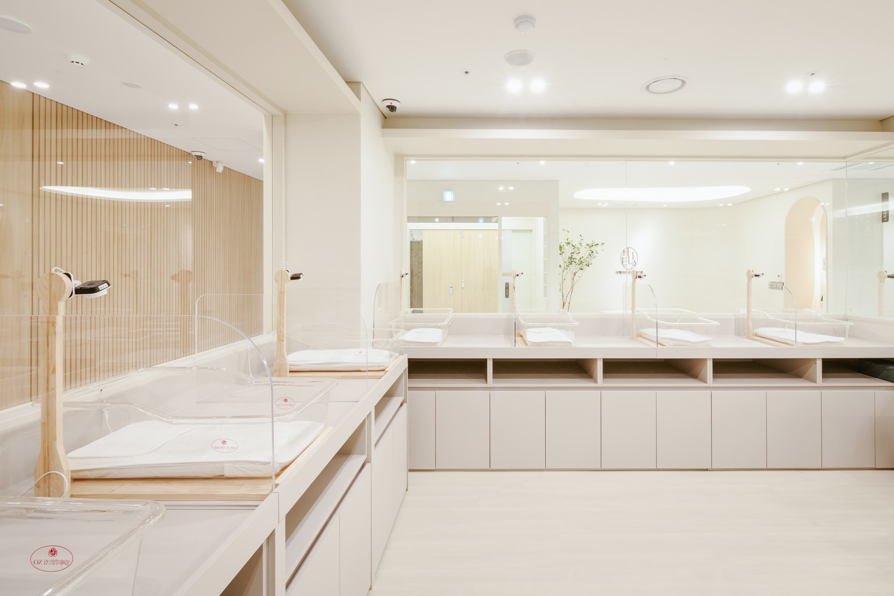 더헬리아 신생아실